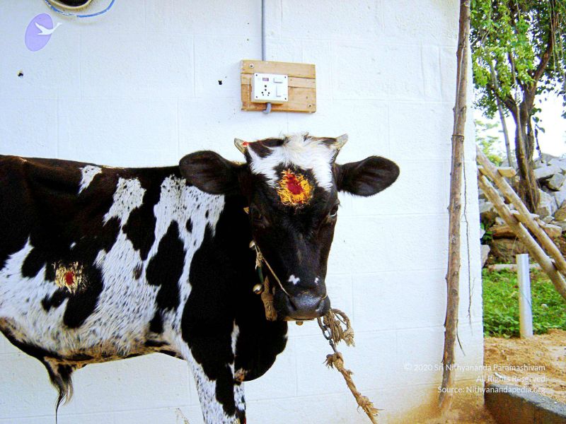 File:20070826 Photo 37 1ZoeltsauZm9MMbHqZo6-EGgEP5OM0wfL.jpg