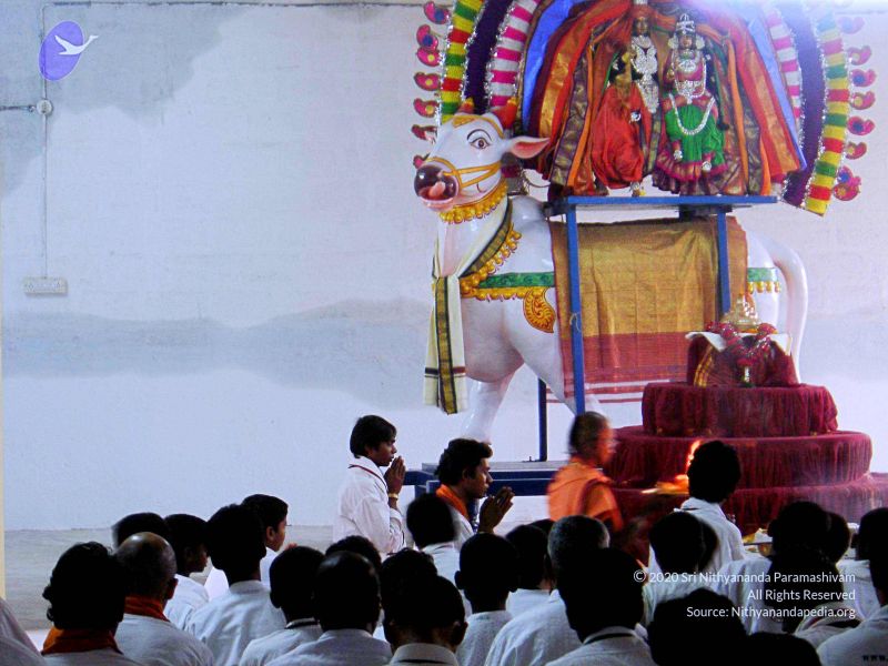 File:20070826 Photo 3 1M6-IItkYUpzeTXhudLd-zi-QL74jqfht.jpg