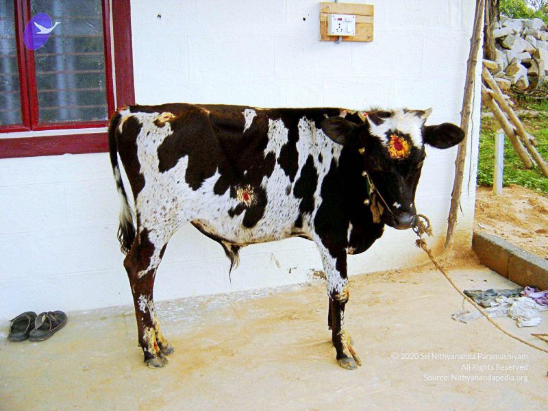 File:20070826 Photo 40 1xDwHoy2rXLoCOAPZ7Ii4G52D94aPTCmU.jpg