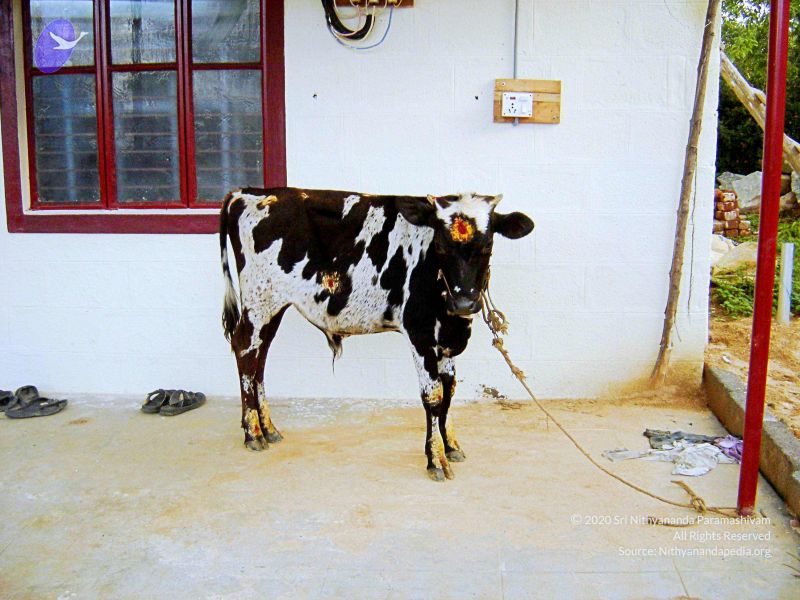 File:20070826 Photo 41 1j0K0s5CNqpenNuKZzCKX0xHjb28eZ8E7.jpg