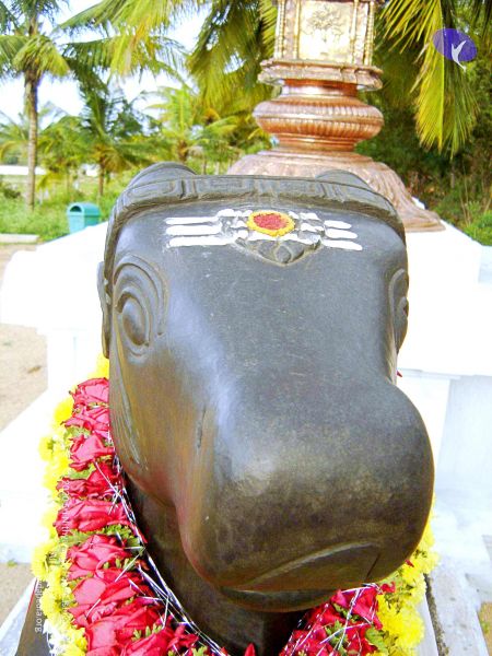 File:20070826 Photo 43 10iPR18TGfwYHbEXypvfvJQEJkKcVa8r5.jpg