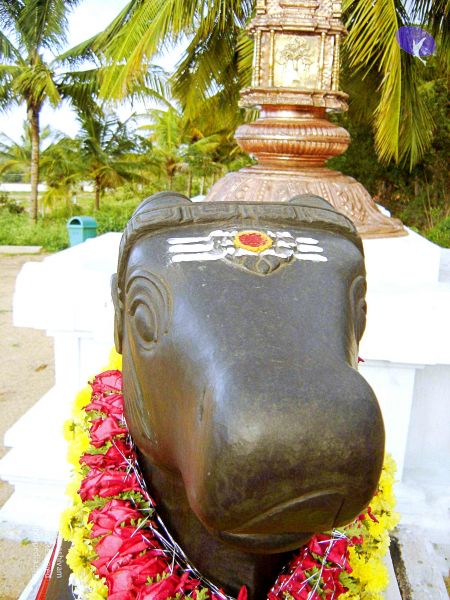 File:20070826 Photo 44 1JlzXoXqAaWI6zCXPS-uCZOwpW82bo04U.jpg