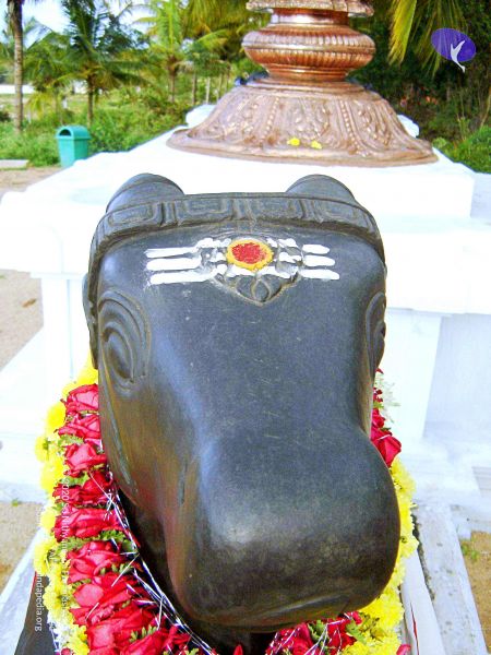 File:20070826 Photo 48 1hk63TodQ2kyDiM5dtQBsnP31KziXFw9o.jpg