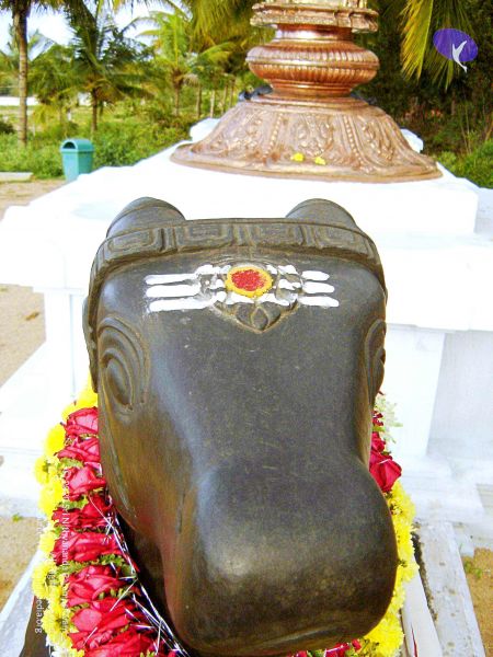 File:20070826 Photo 49 12 yUzfMgJA82bqiBg4ha4MCy4GxN-3zD.jpg