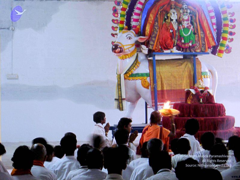 File:20070826 Photo 4 10ZQyY97Fhc3IsIstjsQOgYdO8qQNu5kd.jpg