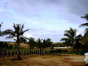 20070826 Photo 55 1HzU6hiSlDJRuiASs0z3pLi-fZMPjaJ46.jpg