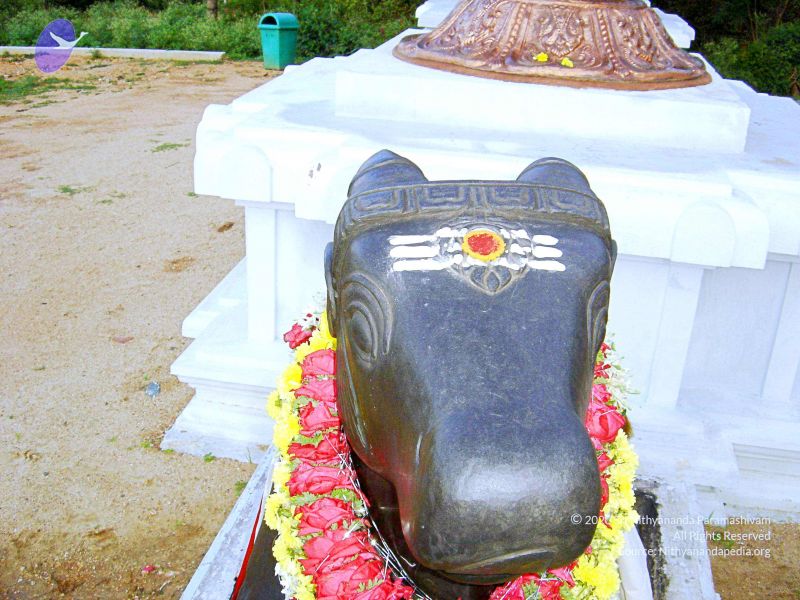 File:20070826 Photo 62 1P UdZZ74s8JY3VpaFw7t9nM8 yLBP1JF.jpg