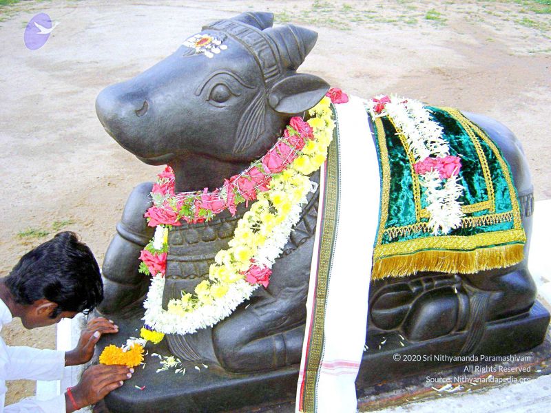 File:20070826 Photo 63 1cjHm1dGc2yYN1VhV3oHdAgW pJSHsyeO.jpg