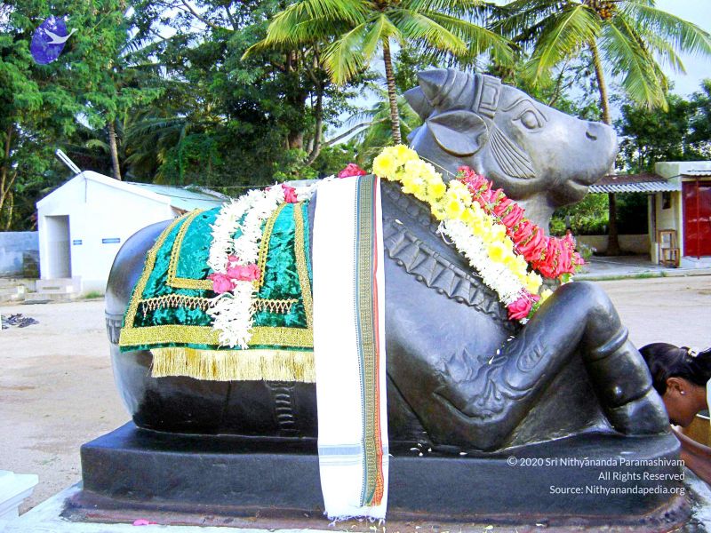 File:20070826 Photo 65 1Wvl3ceLMH91u0GiR4DxqI4iSZN-UuASs.jpg