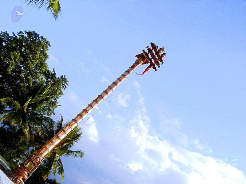 File:20070826 Photo 72 19ff4h6jfVYQqe7E85EiKQVz2mPiVXoj2.jpg