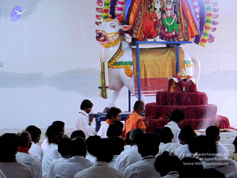 File:20070826 Photo 7 1rXDYDZbQKR7uKyjCv1zcAxo-b9ID-QFu.jpg