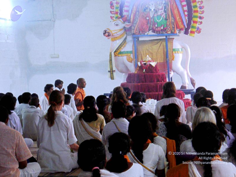 File:20070826 Photo 9 1jgD9MxevOQU8RC Hbj5I5WdhIu2bKztP.jpg