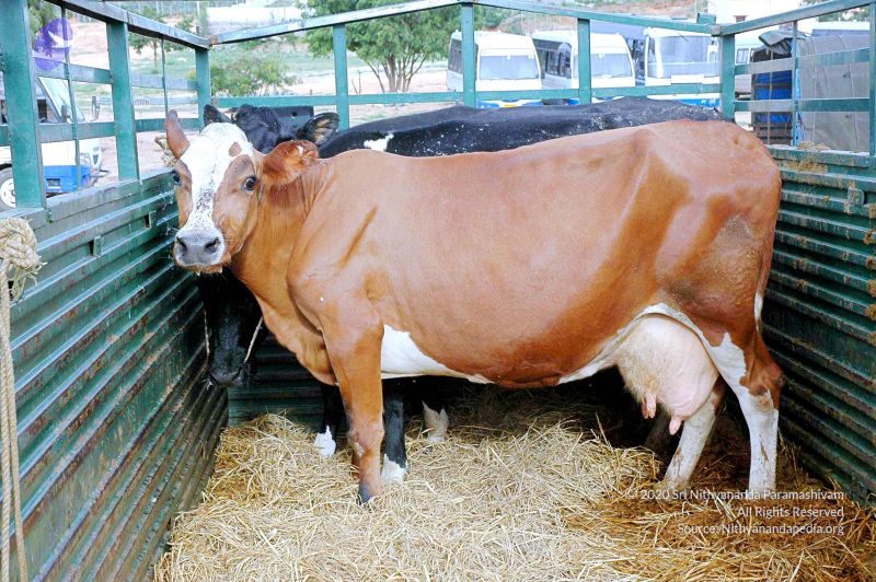 File:20070831 Photo 10 1w3Nx0lMghGnsWQfCX-YReX BpSA0a2C-.jpg