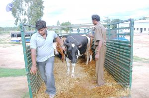 20070831 Photo 11 1YueKCH84Uh75PacdSkOo076XxdhCW37y.jpg