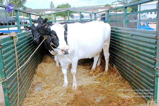 20070831 Photo 12 1zKJSLTBmbED5AFkFQtpjes KqYX27mk0.jpg