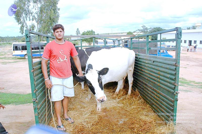 File:20070831 Photo 14 1Dpw8zdB-QdzCvYNNJYqUQiibkcg-Dyek.jpg