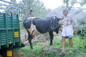 20070831 Photo 15 1hh440G7Wev8gJ6cBLb93D9U8EXrlYwKk.jpg