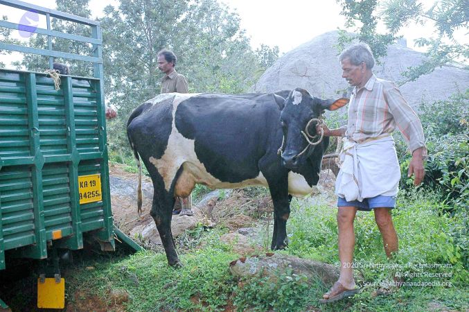 20070831 Photo 15 1hh440G7Wev8gJ6cBLb93D9U8EXrlYwKk.jpg