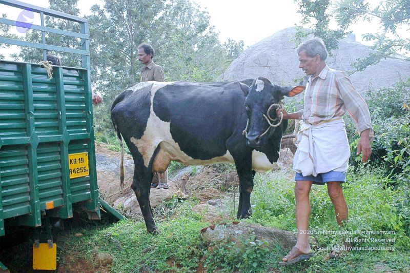 File:20070831 Photo 15 1hh440G7Wev8gJ6cBLb93D9U8EXrlYwKk.jpg