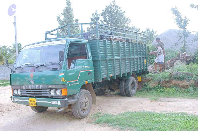 20070831 Photo 17 1WGMs8rq6s6GvSoWSMGrRehw8tUtAG3 a.jpg