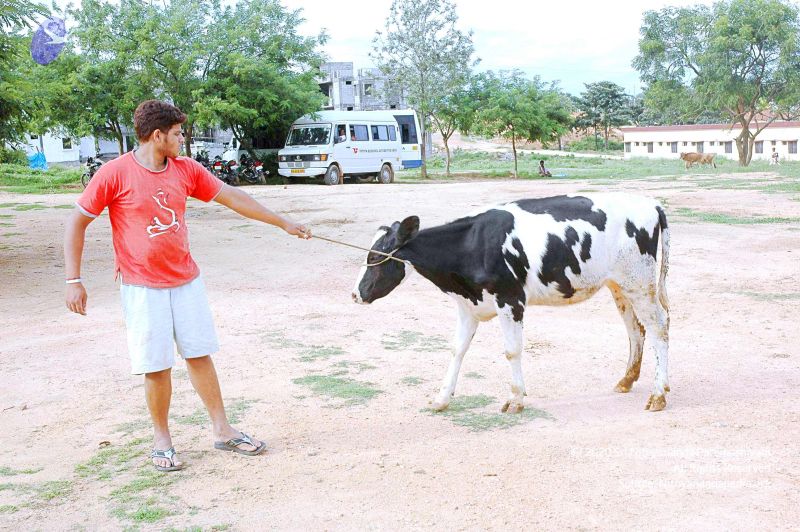 File:20070831 Photo 18 1J2YxS21B4pdKRdmcoQHBUf3sKy6VA Xm.jpg