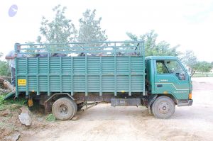 20070831 Photo 19 1S0E-YS5v9sm9zMWTJQvMN4stHWmDJQcu.jpg