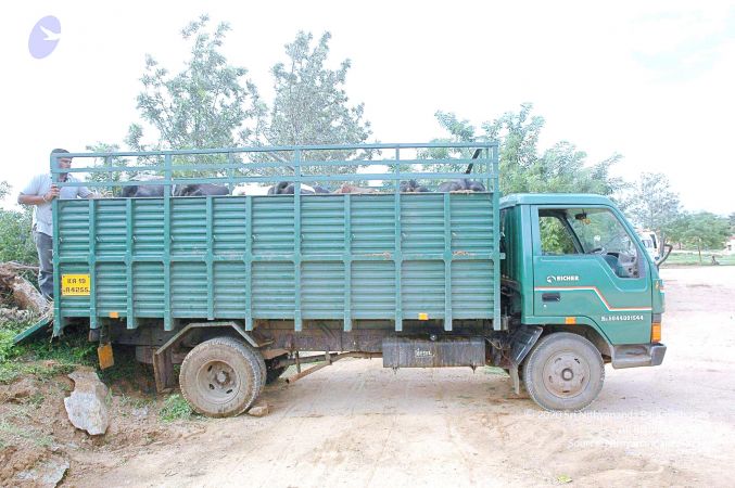 20070831 Photo 19 1S0E-YS5v9sm9zMWTJQvMN4stHWmDJQcu.jpg