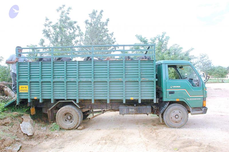 File:20070831 Photo 19 1S0E-YS5v9sm9zMWTJQvMN4stHWmDJQcu.jpg