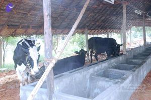 20070831 Photo 1 1mv9fkdjoZiuvZENCQIw58rX3C6HJIDvx.jpg