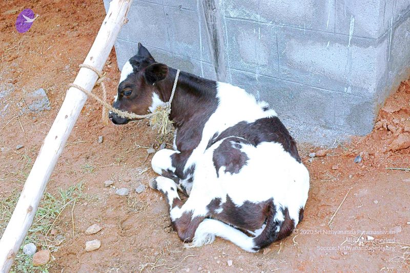 File:20070831 Photo 2 1hg8PgcCvgH6BpkzfjbZIO4uZ8LTve4an.jpg