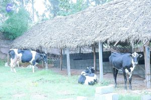 20070831 Photo 3 16Wz-BGrtGkEtGc7JbrfolR7dQ5s46oFW.jpg