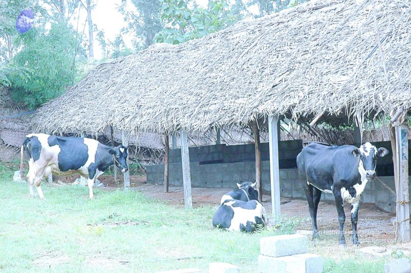 File:20070831 Photo 3 16Wz-BGrtGkEtGc7JbrfolR7dQ5s46oFW.jpg