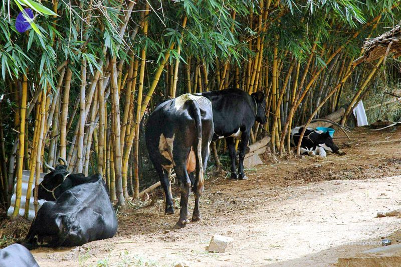 File:20070831 Photo 6 1WbKsdxiq6zD1gdfUR3GWVMkg-A0qKrOT.jpg