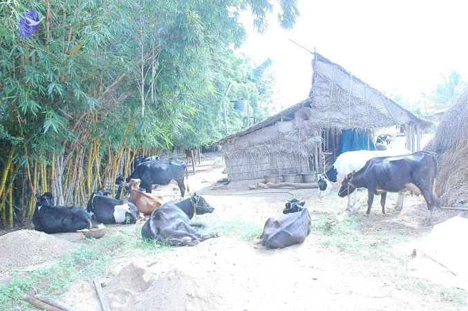 20070831 Photo 9 1CKC0EuHVDEx STRAlyTXTXeXGPsRimFB.jpg