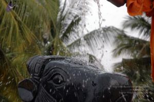 20071008 Photo 1001 1UtUSKWQMW9W10rmJNQLgldRbAFNGirqC.JPG