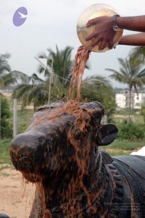 20071008 Photo 1002 1yJHoP11gxOZKWOv4VXiNYhp8o-DRolZr.JPG