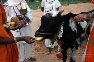 20071008 Photo 1007 1lOSFM~COso5JeqsgdrULYMuaNEXnePF.JPG