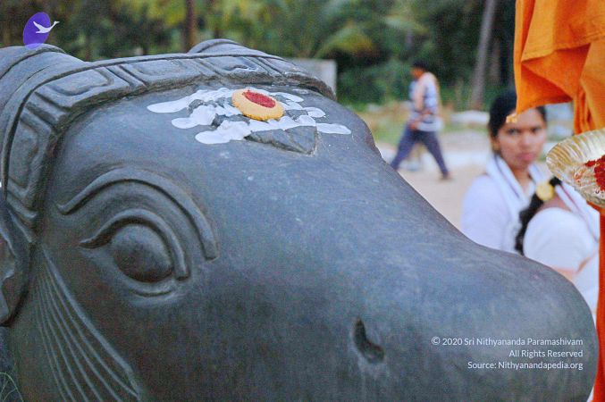 20071008 Photo 101 16oP8XyPV0HGc5KIfbVzyVT8doA7bzTjr.jpg