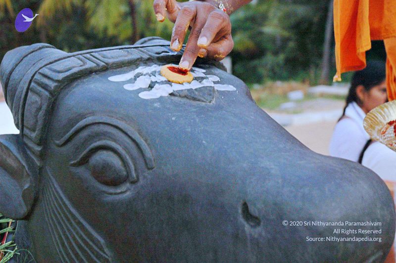 File:20071008 Photo 103 1J8r21PexM8j9RW hQpM8-jKyuQvHHGe0.jpg