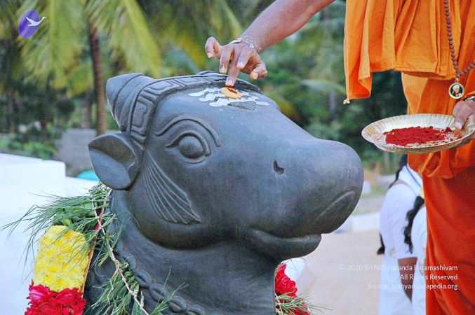 20071008 Photo 104 1VMFRfCNMgsjXapPe7Rjppckove5HyZ9J.jpg