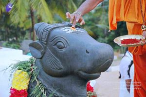 20071008 Photo 105 1uFb2cBv0YpujNbHZdmp-2uwkcDeLEMLh.jpg