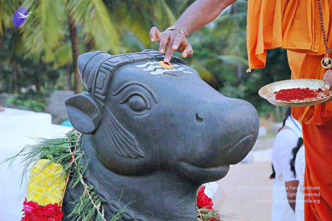 20071008 Photo 105 1uFb2cBv0YpujNbHZdmp-2uwkcDeLEMLh.jpg