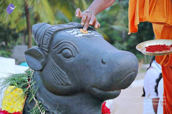 20071008 Photo 106 1hMBvmqTQPBEdm fFpYGrtuJGSIwhWMUE.jpg