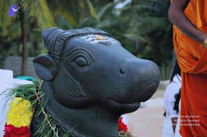 20071008 Photo 108 1k3ixEYiab-7B2yllB01BhOffG5SVPuM7.jpg