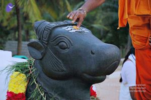 20071008 Photo 112 1fVCUa4P3V7vN7q7aGP7aBg4qGMf22Q3d.jpg