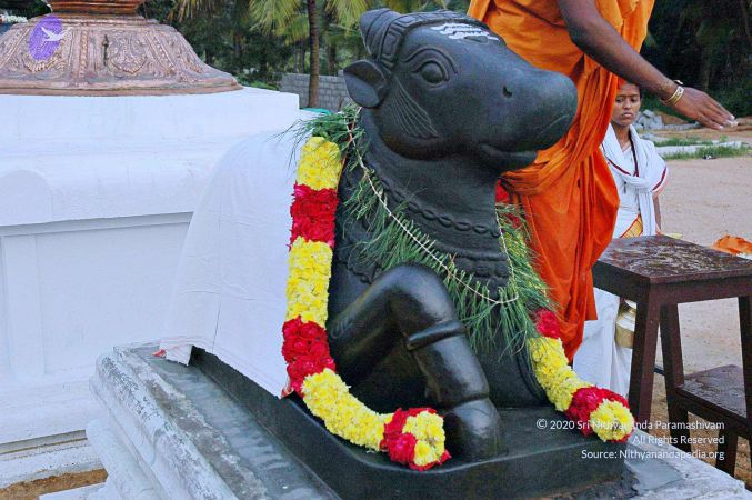 20071008 Photo 119 1QEGEY92NymwPrRgmqE1RTyVIzz1pDeIc.jpg