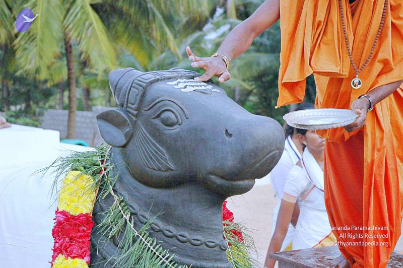 File:20071008 Photo 122 1B-84Tkx82mF9SNYYP0nqJ0 50DPAF2IY.jpg