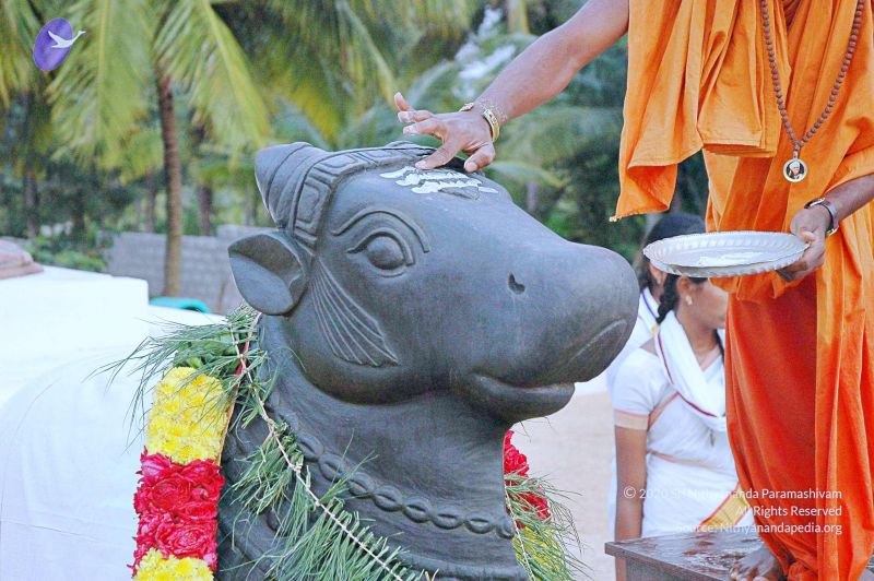 File:20071008 Photo 123 1OSEgdXPQmP7TTRlDbSLCzz-4eWq1iioV.jpg