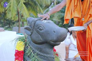 20071008 Photo 124 1Zf1Nz1HIBc9kVz6NpN5kSwEI-1xPpLyQ.jpg