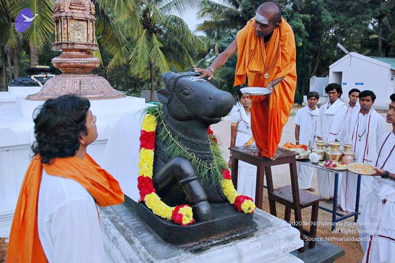 File:20071008 Photo 129 1iBMZOfwNvy-1j14UkUxRq1Jl0Fj6GCac.jpg